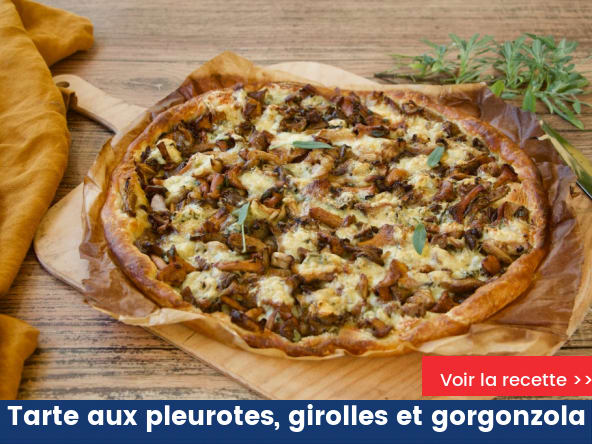 Tarte aux pleurotes, girolles et gorgonzola